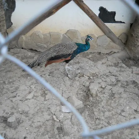 Gasthuis Complex Cherni Vrah 2*