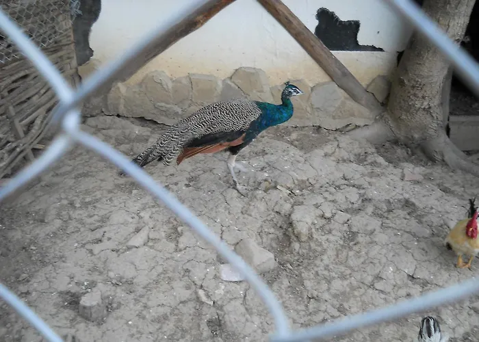 Casa de hóspedes Complex Cherni Vrah 2*